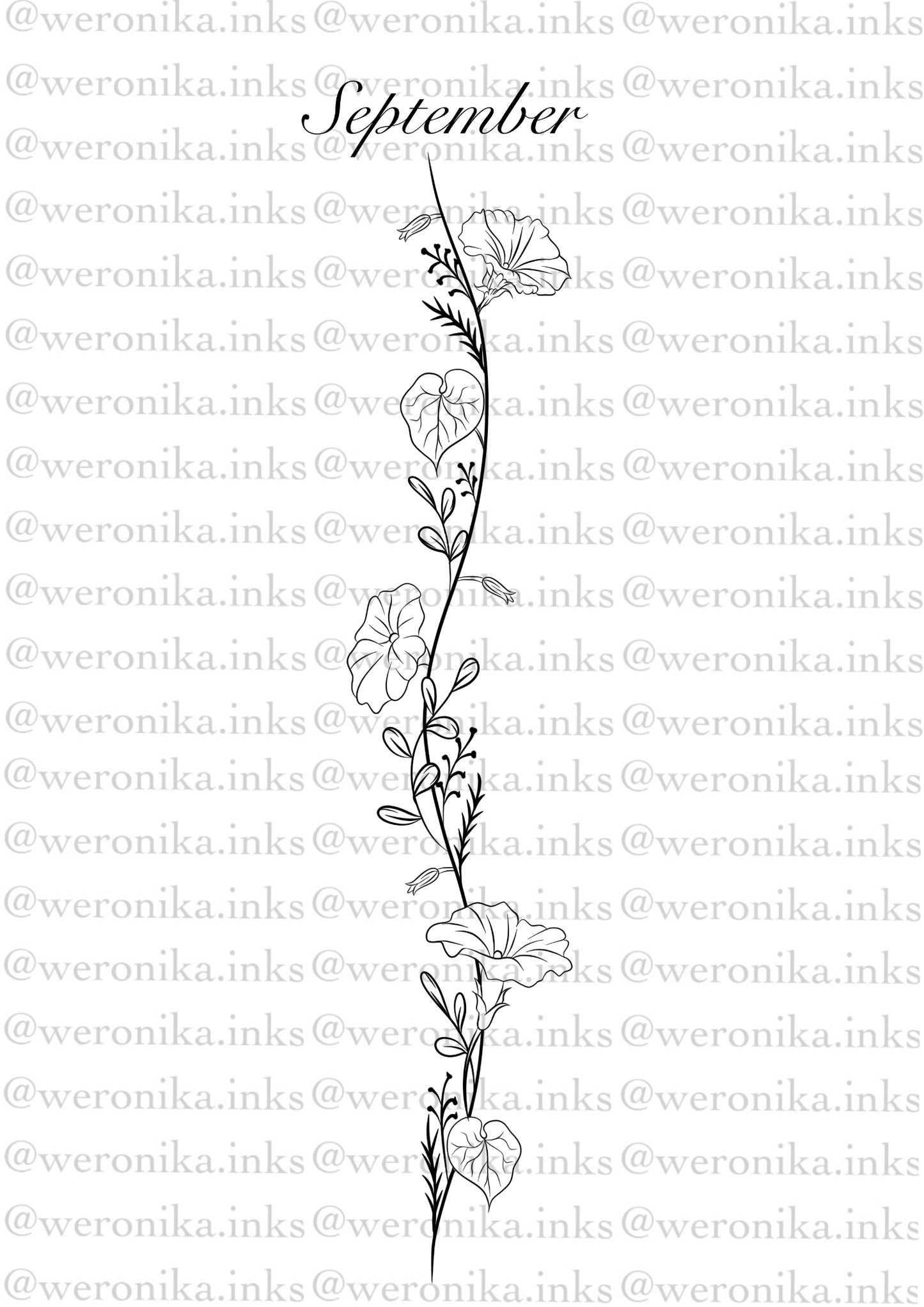 September, Birth Month Flower Spine Tattoo
