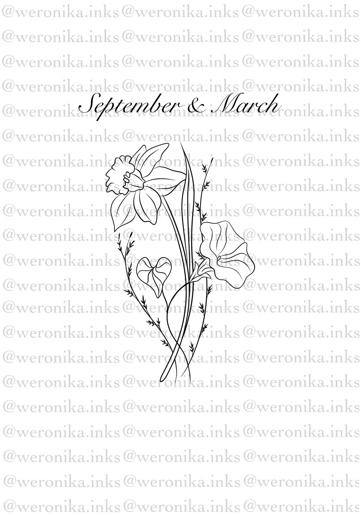 Birth Month Flowers, September & March