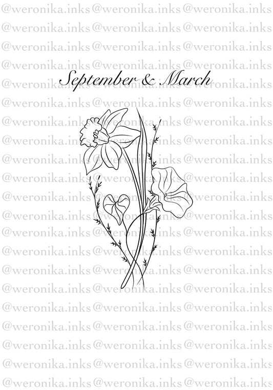 Birth Month Flowers, September & March
